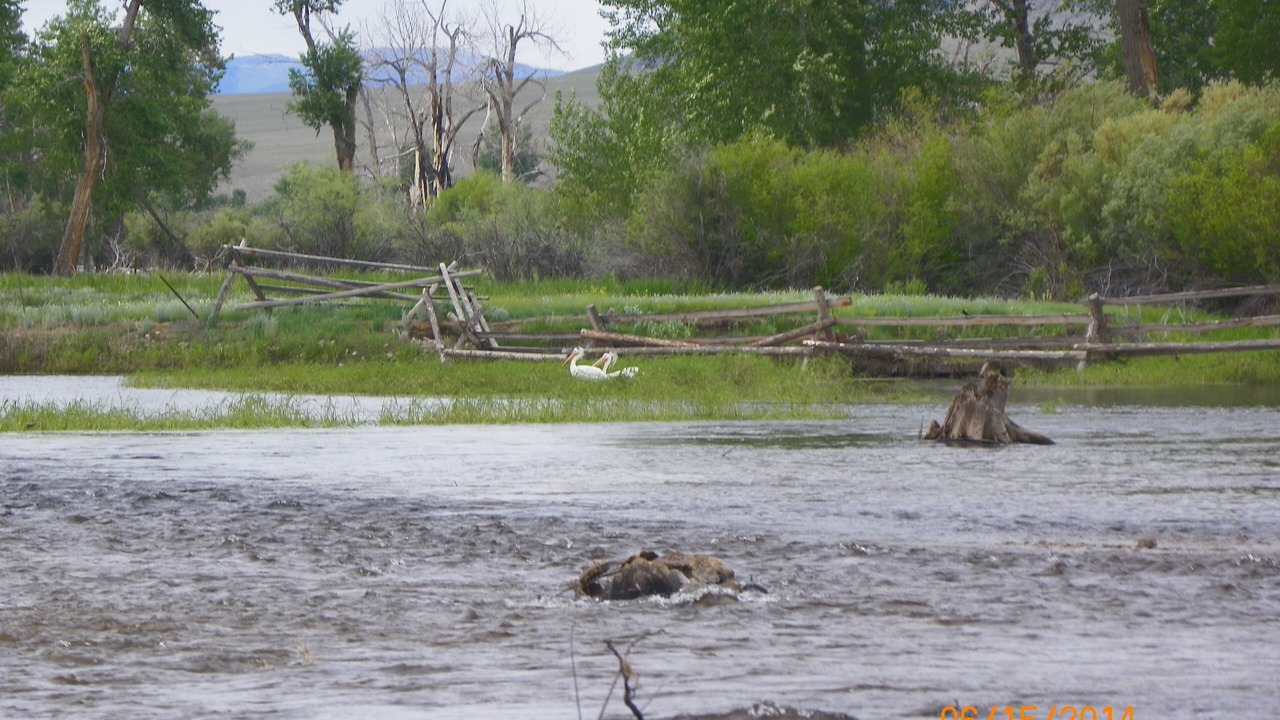 Photo of Others in Glen