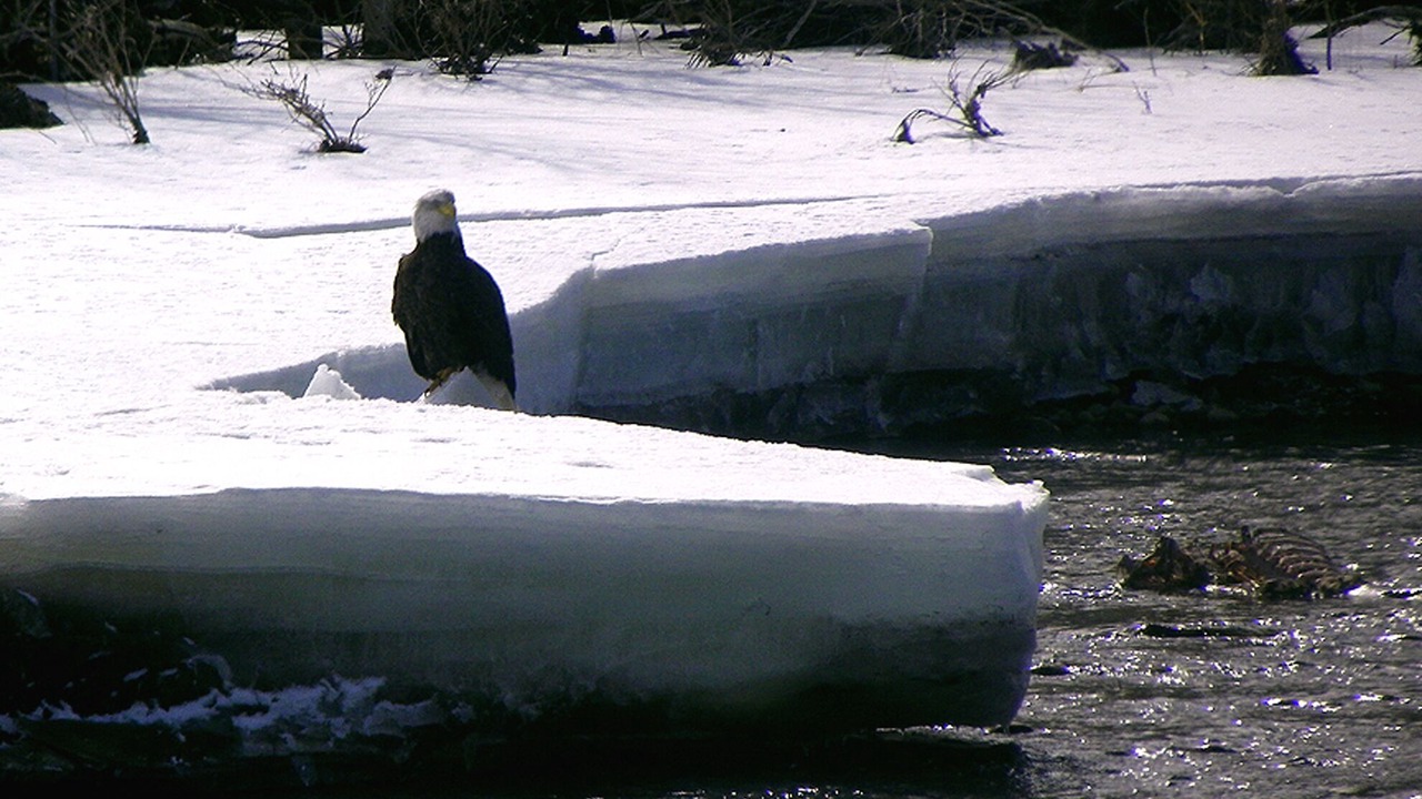 Photo of Others in Glen