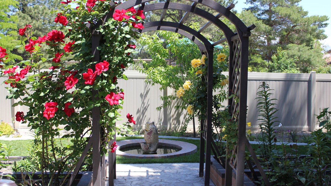 Photo of Outdoor in Taylorsville