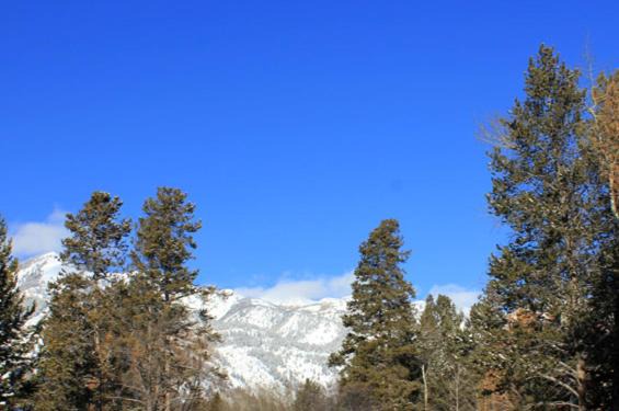 Photo of Others in Moose Wilson Road