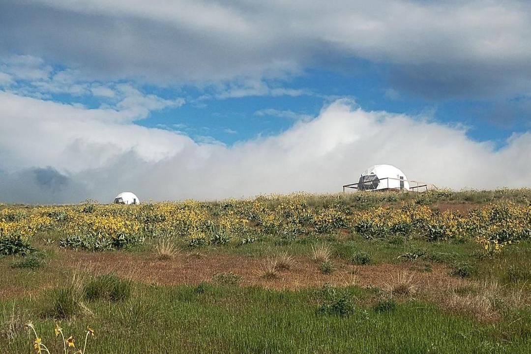 Photo of Others in Plains