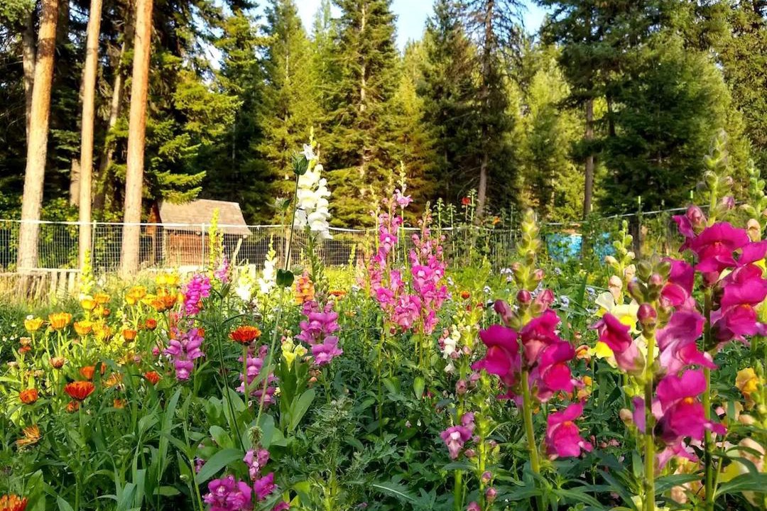 Photo of Outdoor in Alberton