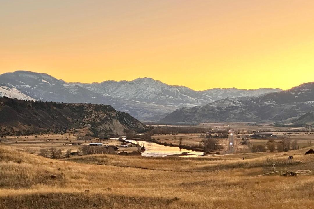 Photo of Others in Emigrant