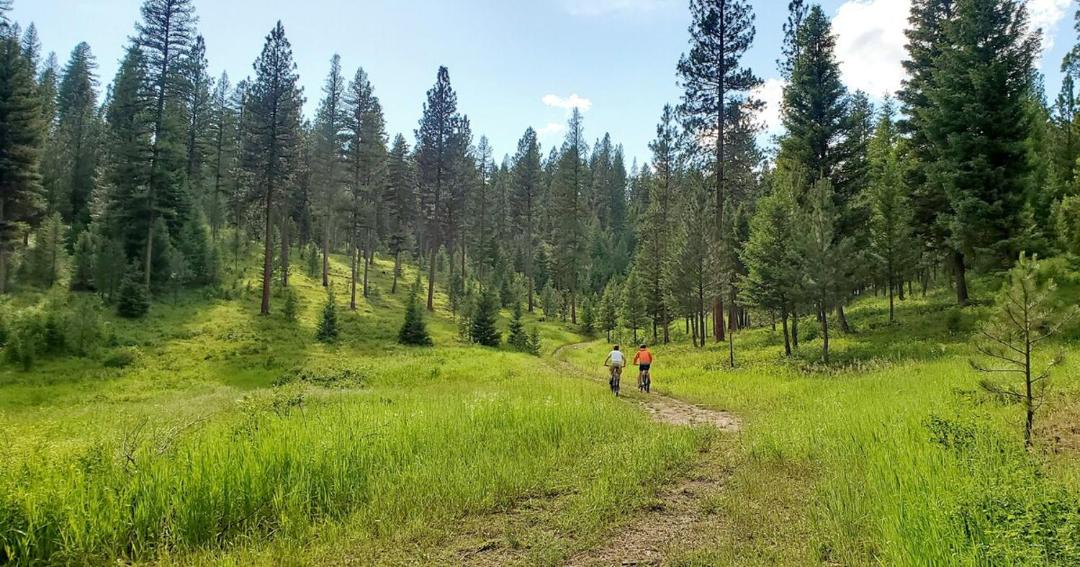 Photo of Others in Missoula
