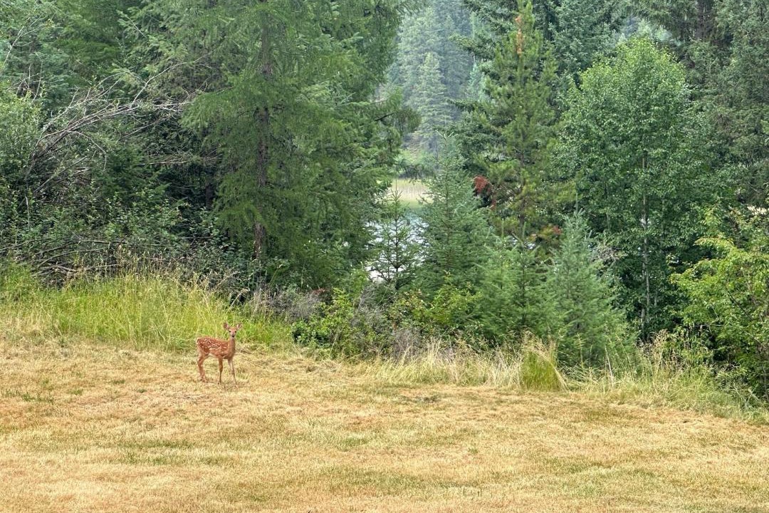 Photo of Others in Whitefish
