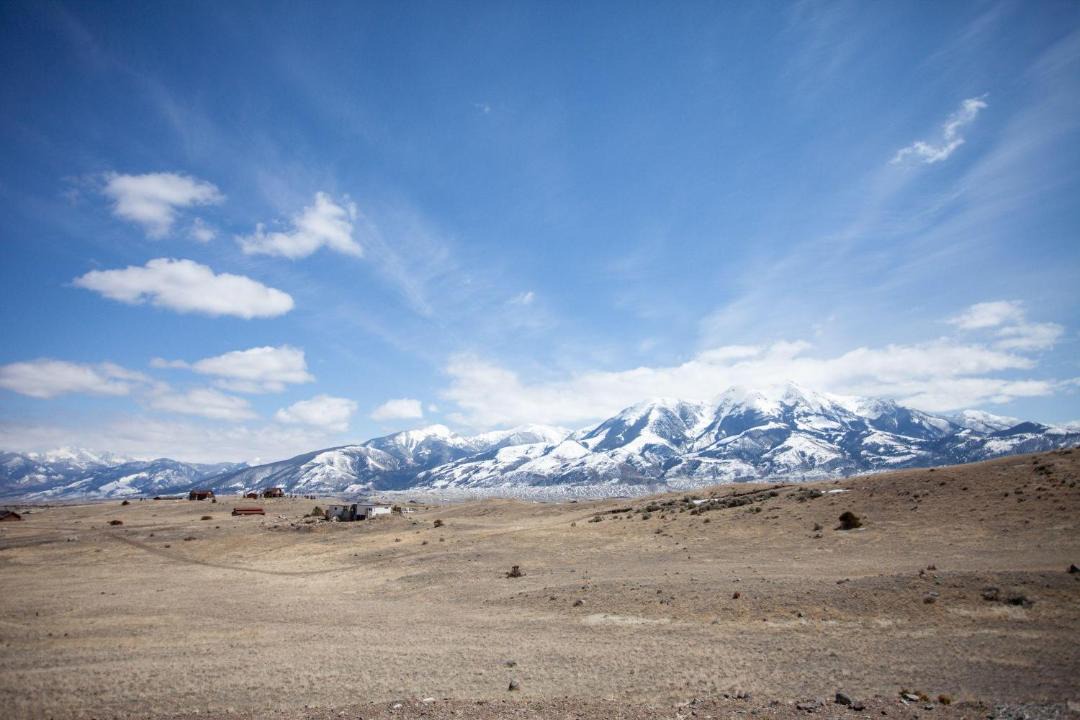 Photo of Others in Emigrant