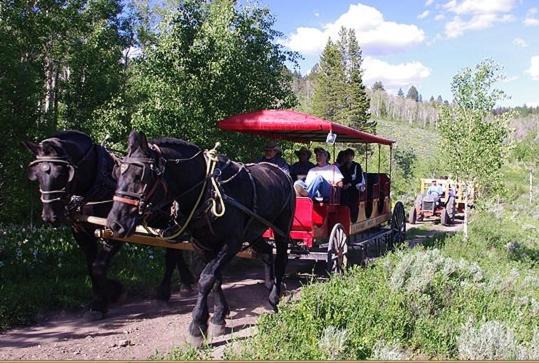 Photo of Others in West Yellowstone