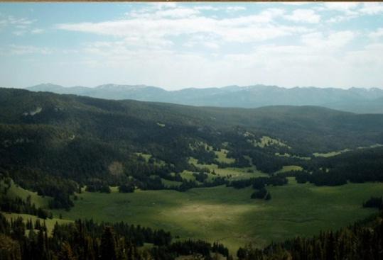 Photo of Others in West Yellowstone