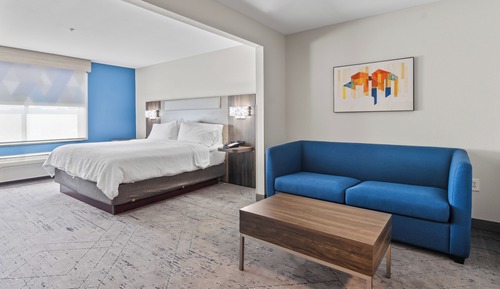 Suite, 1 King Bed with Sofa bed